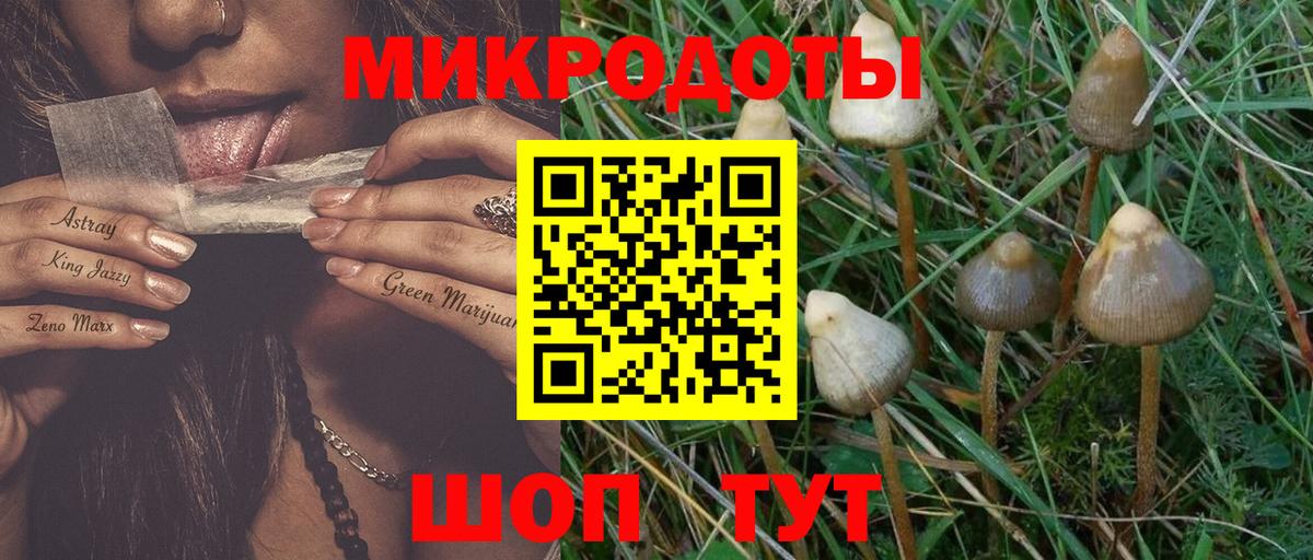 Чебаркуль  Галлюциногенные грибы MAGIC MUSHROOMS  Вход с VPN 
